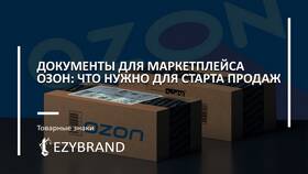 Чем можно оплачивать заказы на Ozon в Фианит-Ломбард