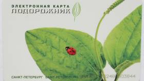 Чем пополнять карту Подорожник в Фианит-Ломбард