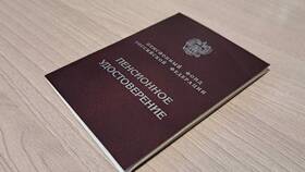 Что делается для отмены пенсионной реформы в Фианит-Ломбард