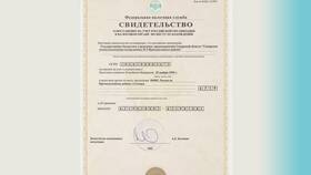 Что такое выписка ИНН в Фианит-Ломбард