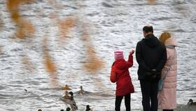 Что является семейным доходом в Фианит-Ломбард