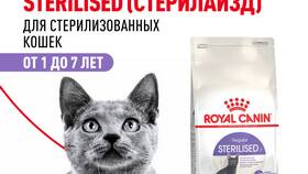 Что за бизнес 
