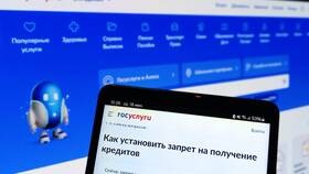 Как оформить блокировку выдачи кредитов через Госуслуги в Фианит-Ломбард