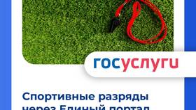 Как оформить спортивный разряд через Госуслуги в Фианит-Ломбард
