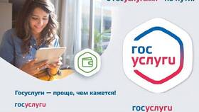 Как оформить выплату через Госуслуги в Фианит-Ломбард