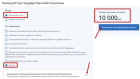 Как оплатить на депозитный счет арбитражного суда в Фианит-Ломбард