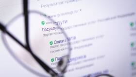 Как подать декларацию на налоговый вычет через Госуслуги в Фианит-Ломбард