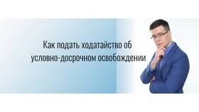 Как подать ходатайство в Фианит-Ломбард