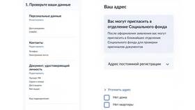 Как подать заявление на пособия для беременных через Госуслуги в Фианит-Ломбард