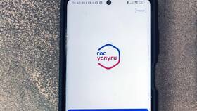 Как подать заявление на развод через Госуслуги в Фианит-Ломбард