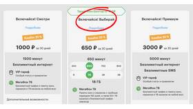 Как получить платеж от МегаФона в Фианит-Ломбард