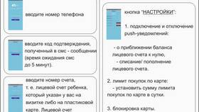 Как пополнить карту питания школьника через Сбербанк в Фианит-Ломбард