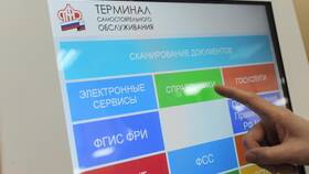 Как проверить кому принадлежит СНИЛС в Фианит-Ломбард