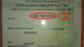 Как узнать номер СНИЛС умершего в Фианит-Ломбард