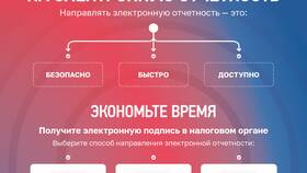 Как узнать свою ИФНС для ИП в Фианит-Ломбард