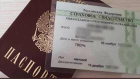 ПФР и СНИЛС: что это и как они связаны в Фианит-Ломбард