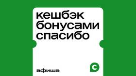Почему не начисляется кэшбэк в Сбербанке в Фианит-Ломбард