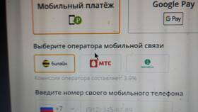 Почему не получается оплатить заказ на AliExpress в Фианит-Ломбард