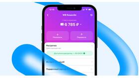 Почему не получается вывести деньги с Wildberries в Фианит-Ломбард
