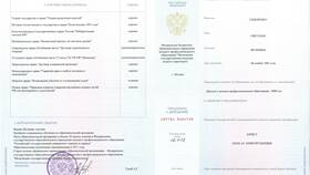 Почему в Госуслугах нет информации об образовании в Фианит-Ломбард