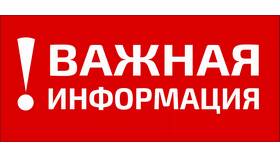Реорганизация негосударственного пенсионного фонда: порядок действий в Фианит-Ломбард