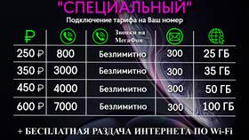 Стоимость услуги записи разговоров в Мегафоне в Фианит-Ломбард