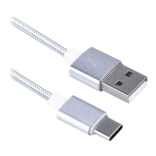 Кабель BLAST Type-C 1м Silver в Фианит-Ломбард