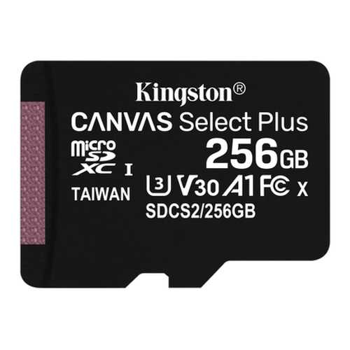 Карта памяти Kingston 256GB Canvas Select Plus (SDCS2/256GBSP) в Фианит-Ломбард