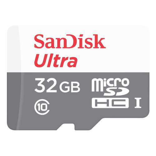 Карта памяти SanDisk Micro SDHC SDSQUNS-032G-GN3MN 32GB в Фианит-Ломбард