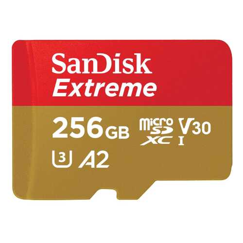Карта памяти SanDisk SDXC Extreme SDSQXA1-256G-GN6MA 256GB в Фианит-Ломбард