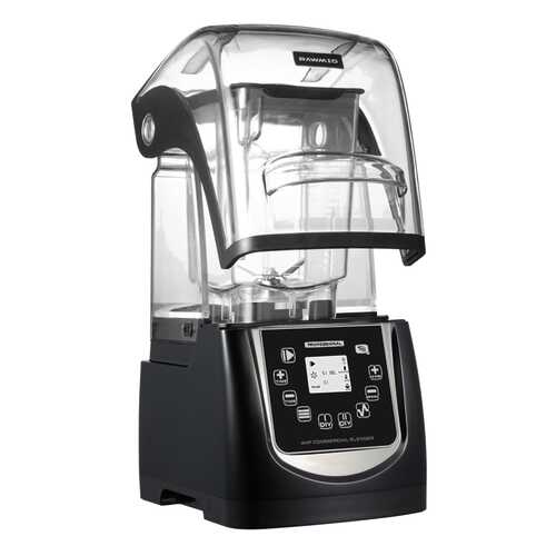 Блендер RAWMID Professional RPB-01 Black в Фианит-Ломбард