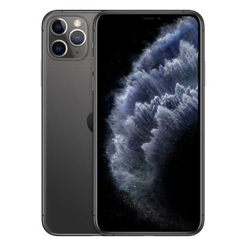 Смартфон Apple iPhone 11 Pro Max 64GB Space Grey (MWHD2RU/A) в Фианит-Ломбард