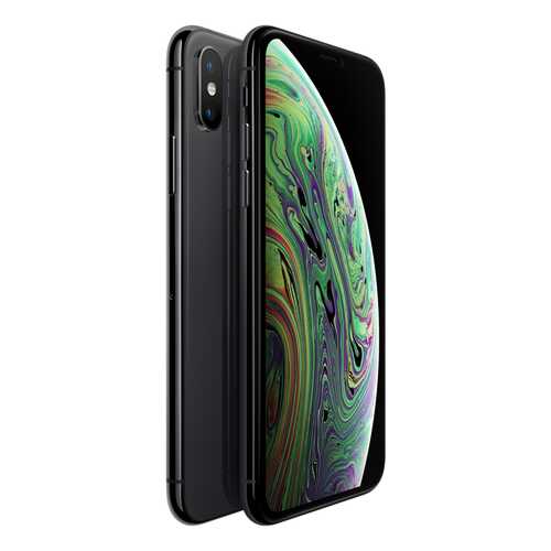 Смартфон Apple iPhone XS 256GB Space Grey (MT9H2RU/A) в Фианит-Ломбард