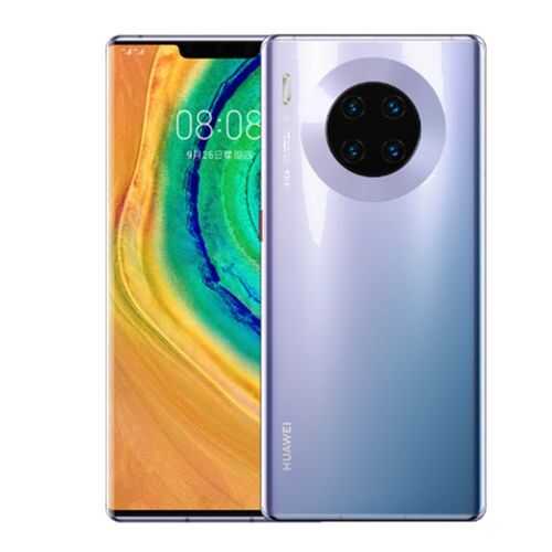 Смартфон Huawei Mate 30 Pro Space Silver (LIO-L29) в Фианит-Ломбард
